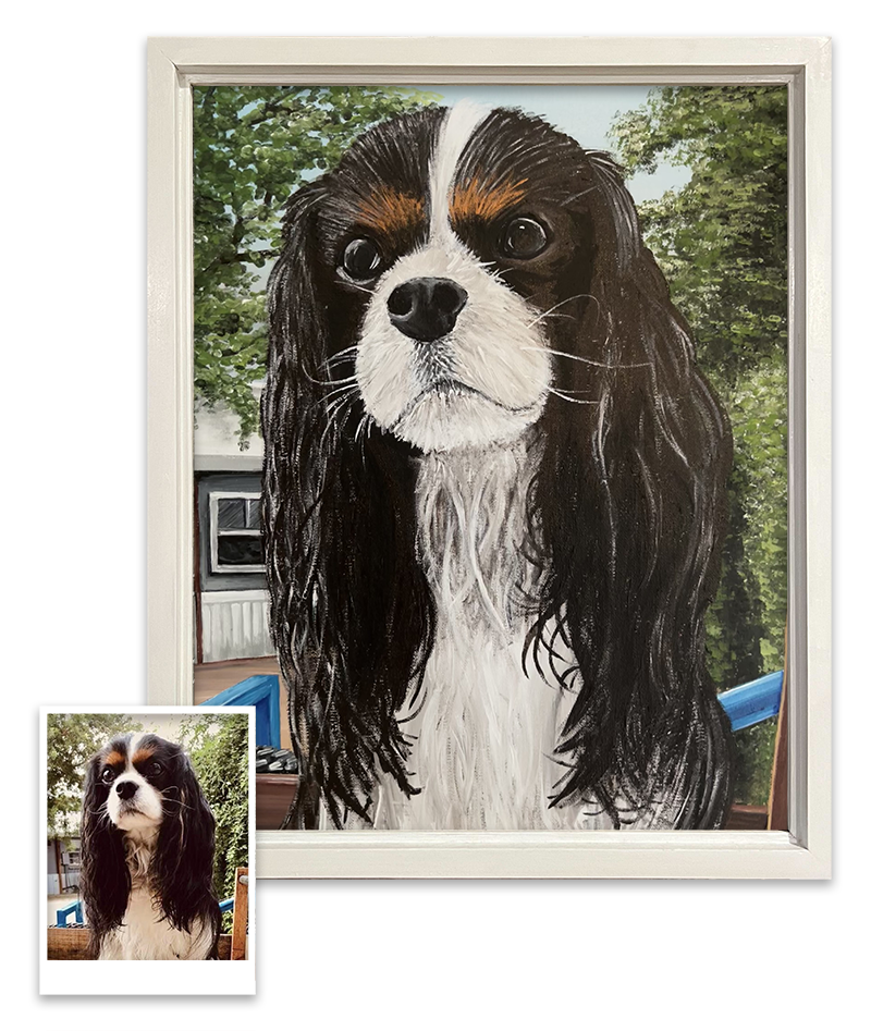 Portfolio | Cooper – Custom Hand Painted Pets